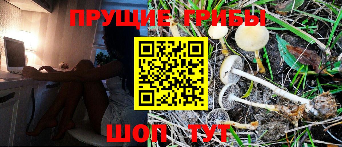 Галлюциногенные грибы Magic Shrooms Златоуст