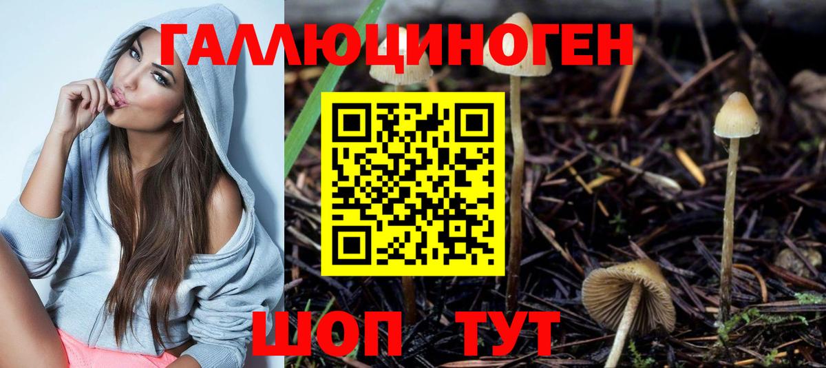 Златоуст  Псилоцибиновые грибы Psilocybine cubensis  Вход с VPN 